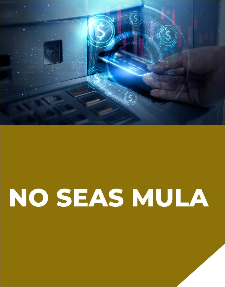 slide_no_seas_mula