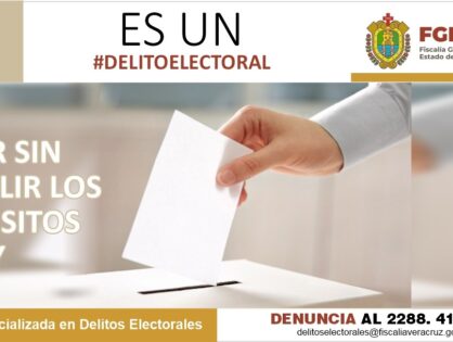 Delitos Electorales-Banner3