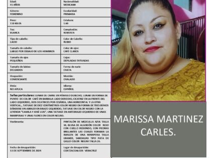 MARISSA MARTINEZ CARLES PA