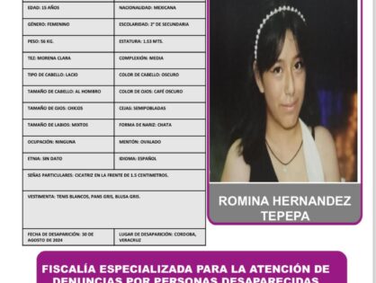 ROMINA HERNANDEZ TEPEPA PA