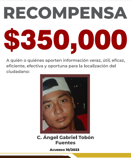 https://fiscaliaveracruz.gob.mx/wp-content/uploads/2024/10/ANGEL-GABRIEL-TOBON-FUENTES-ACUERDO-10-2023.pdf