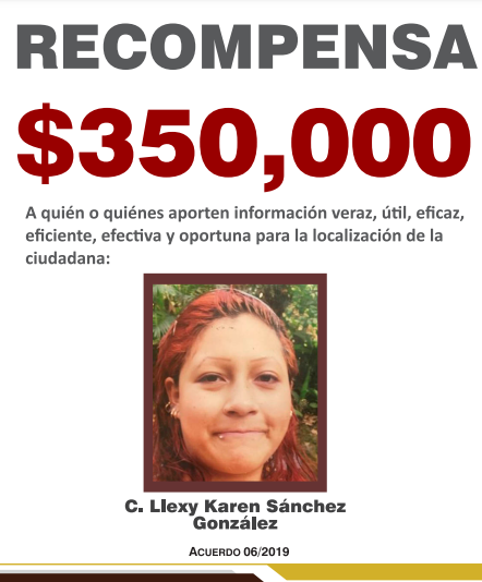 https://fiscaliaveracruz.gob.mx/wp-content/uploads/2024/10/llexy-karen-sanchez-gonzalez-acuerdo-06-2019.pdf