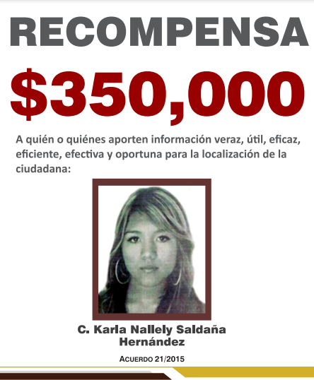 https://fiscaliaveracruz.gob.mx/wp-content/uploads/2024/10/karla-nallely-saldana-hernandez-acuerdo-21-2015.pdf