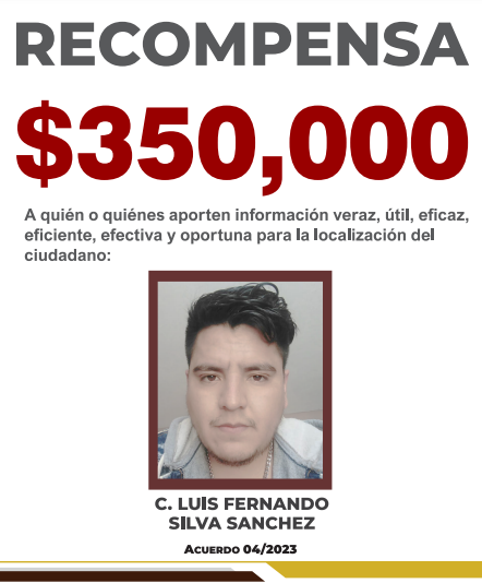 https://fiscaliaveracruz.gob.mx/wp-content/uploads/2024/10/LUIS-FERNANDO-SILVA-SANCHEZ-ACUERDO-04-2023.pdf