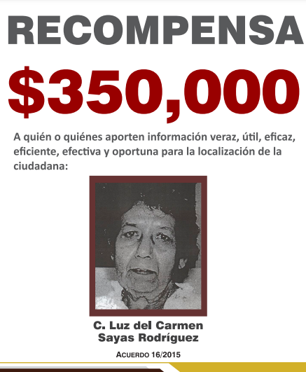 https://fiscaliaveracruz.gob.mx/wp-content/uploads/2024/10/luz-del-carmen-sayas-rodriguez-acuerdo-16-2015.pdf