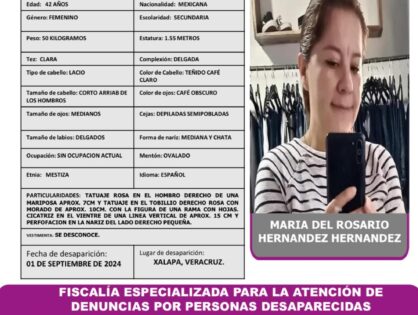 MARIA DEL ROSARIO HERNANDEZ HERNANDEZ PA