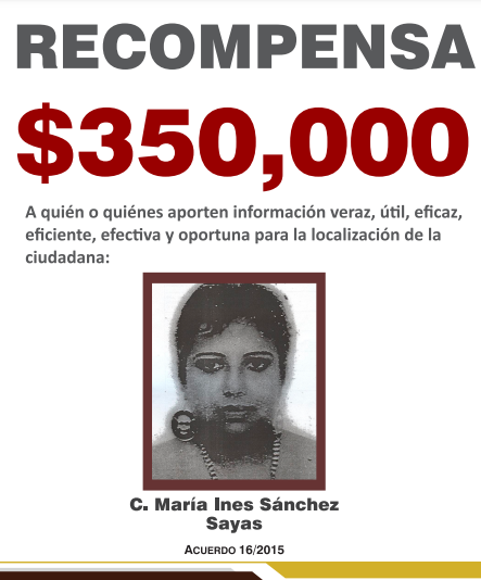 https://fiscaliaveracruz.gob.mx/wp-content/uploads/2024/10/maria-ines-sanchez-sayas-acuerdo-16-2015.pdf