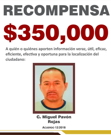 Miguel Pavon Rojas