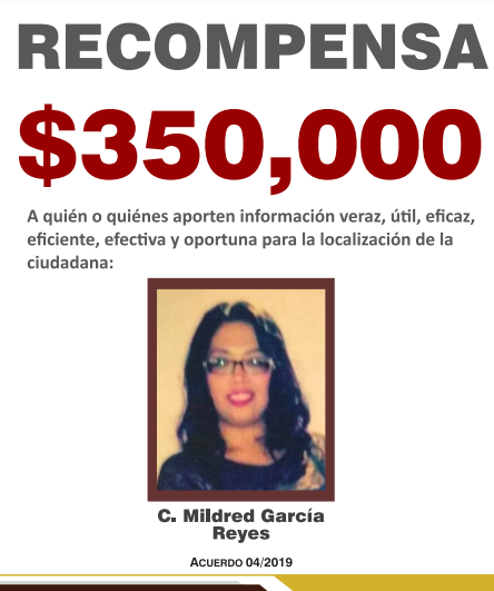 https://fiscaliaveracruz.gob.mx/wp-content/uploads/2024/10/mildred-garcia-reyes-acuerdo-04-2019.pdf