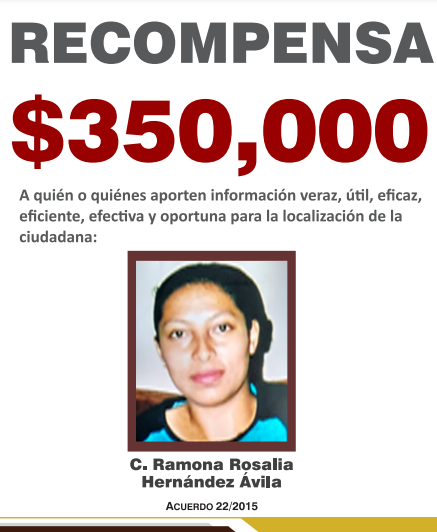 https://fiscaliaveracruz.gob.mx/wp-content/uploads/2024/10/ramona-rosalia-hernandez-avila-acuerdo-22-2015.pdf