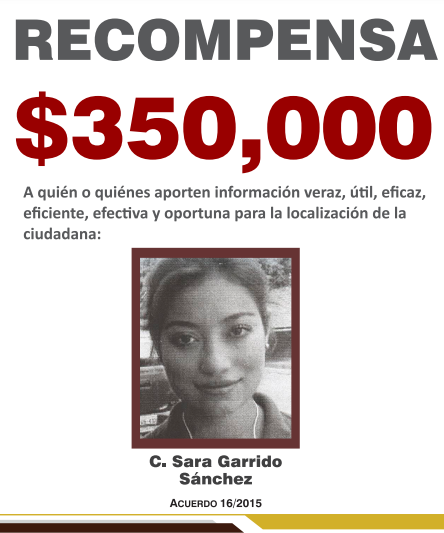 https://fiscaliaveracruz.gob.mx/wp-content/uploads/2024/10/sara-garrido-sanchez-acuerdo-16-2015.pdf