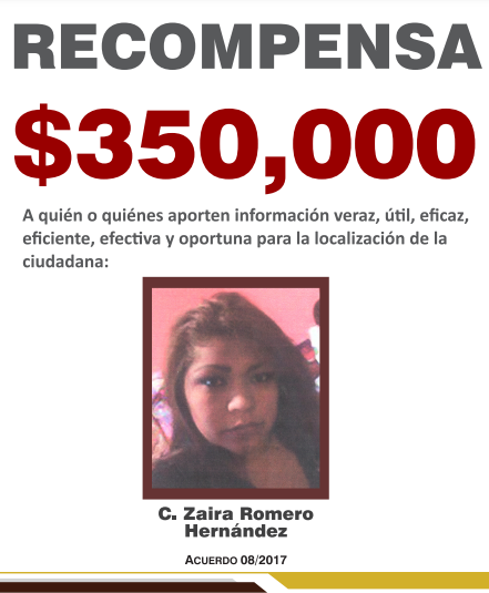 https://fiscaliaveracruz.gob.mx/wp-content/uploads/2024/10/zaira-romero-hernandez-acuerdo-2017.pdf