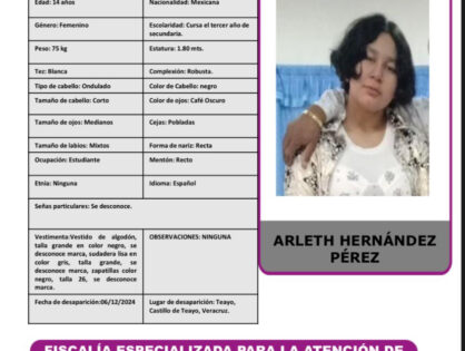 ARLETH HERNÁNDEZ PÉREZ