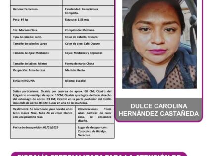 DULCE CAROLINA HERNANDEZ CASTAÑEDA PA (ACTIVADAS)