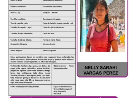 NELLY SARAHI VARGAS PEREZ PA (ACTIVADAS)