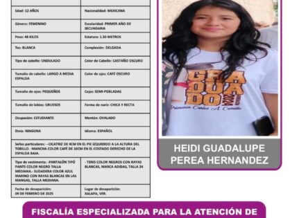 HEIDI GUADALUPE PEREA HERNANDEZ PA (ACTIVADAS)