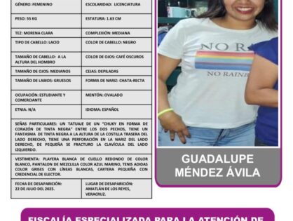 GUADALUPE MÉNDEZ ÁVILA