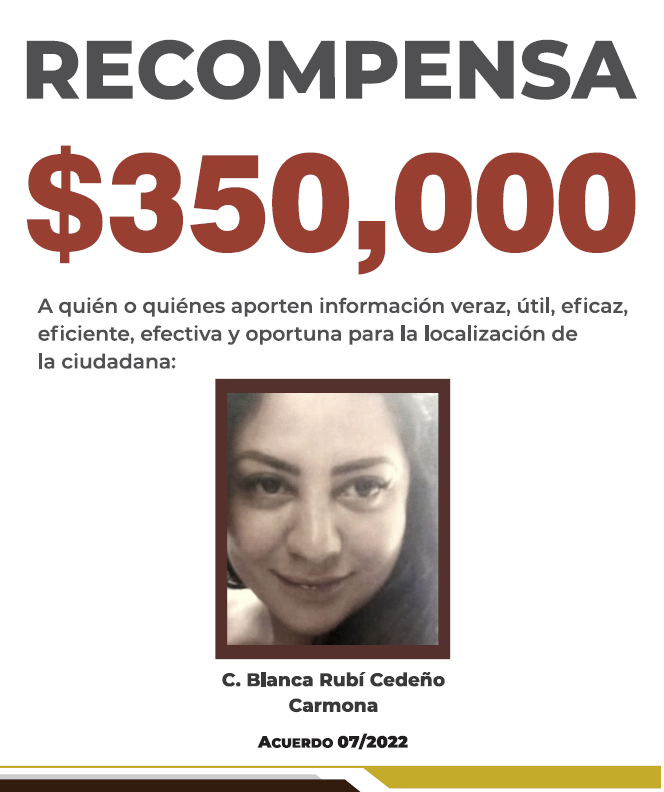 https://fiscaliaveracruz.gob.mx/wp-content/uploads/2025/08/BLANCA-RUBI-CEDENO-A-07-2022.pdf