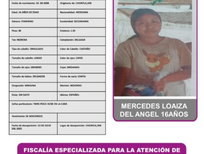 MERCEDES LOAIZA DEL ANGEL