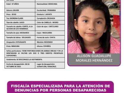 ALLISON GUADALUPE MORALES HERNANDEZ