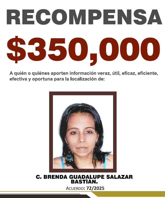 https://fiscaliaveracruz.gob.mx/wp-content/uploads/2025/10/BRENDA-GUADALUPE-A-72-2025.pdf