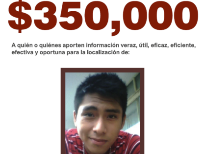 DARBY VILLALOBOS OCELOT