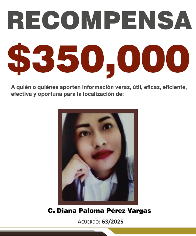 https://fiscaliaveracruz.gob.mx/wp-content/uploads/2025/10/DIANA-PALOMA-PEREZ-A-63-2025.pdf