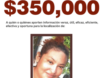 DULCE MARÍA CARRANZA VICENCIO