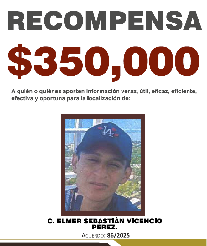 ELMER SEBASTIÁN VICENCIO PÉREZ