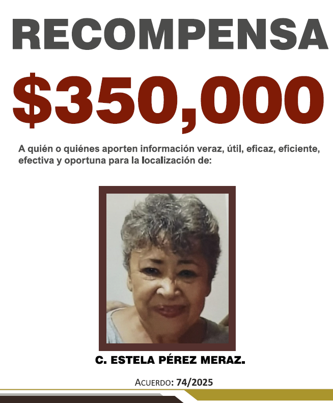 https://fiscaliaveracruz.gob.mx/wp-content/uploads/2025/10/ESTELA-PEREZ-A-74-2025.pdf