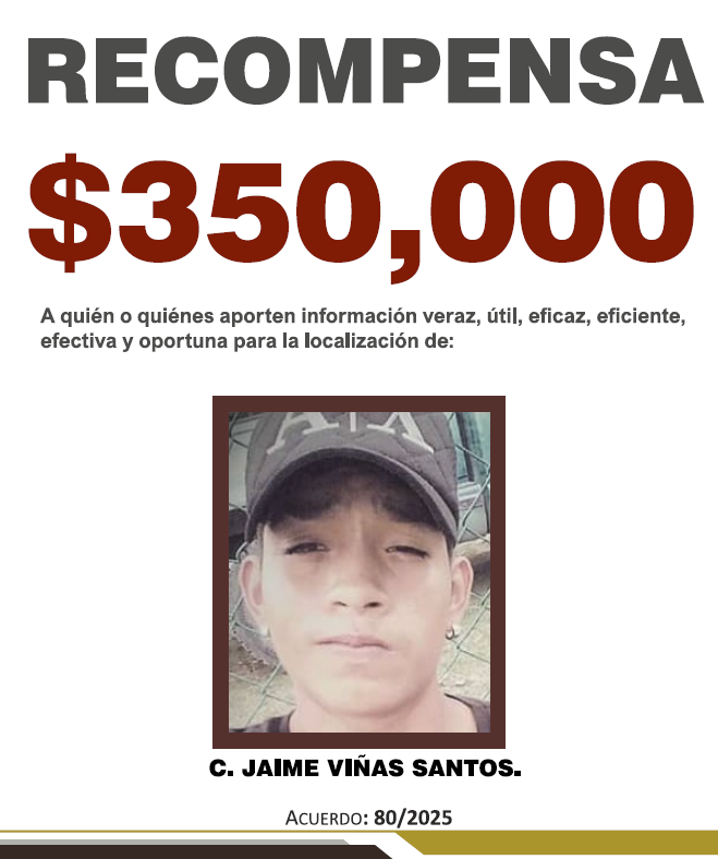 JAIME VIÑAS SANTOS