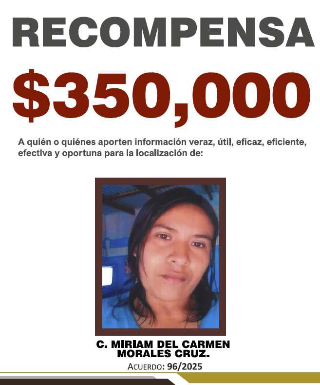 https://fiscaliaveracruz.gob.mx/wp-content/uploads/2025/10/MIRIAM-DEL-CARMEN-A-96-2025.pdf