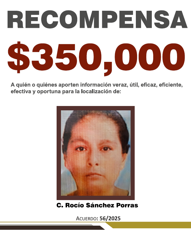https://fiscaliaveracruz.gob.mx/wp-content/uploads/2025/10/ROCIO-SANCHEZ-A-56-2025.pdf