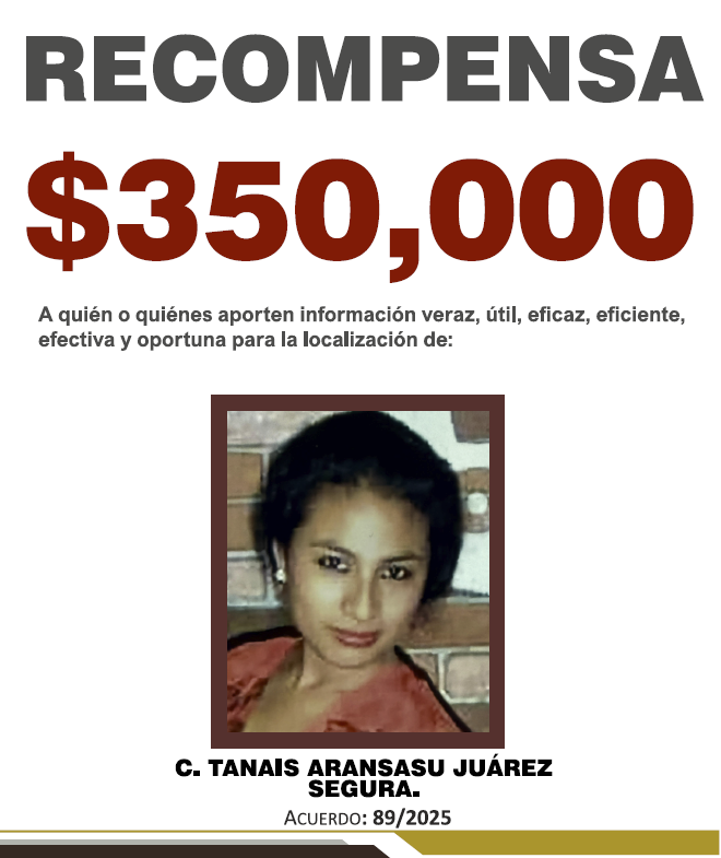 https://fiscaliaveracruz.gob.mx/wp-content/uploads/2025/10/TANAIS-SARANSAU-A-89-2025.pdf