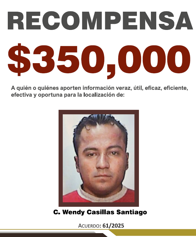 https://fiscaliaveracruz.gob.mx/wp-content/uploads/2025/10/WENDY-CASILLAS-A-61-2025-1.pdf
