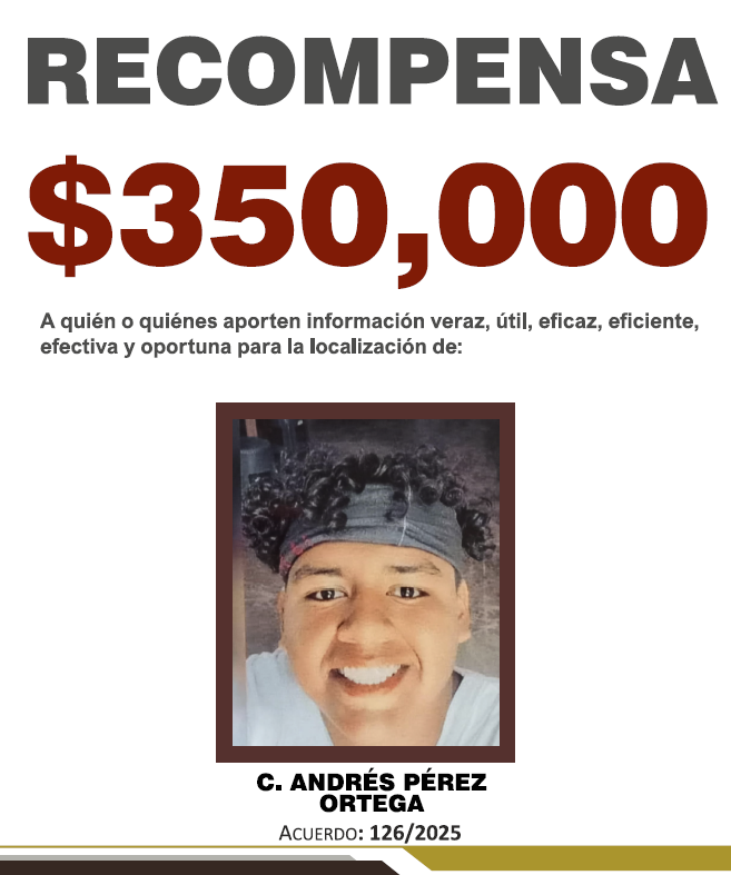 https://fiscaliaveracruz.gob.mx/wp-content/uploads/2025/11/ANDRES-PEREZ-ORTEGA-A-126.pdf