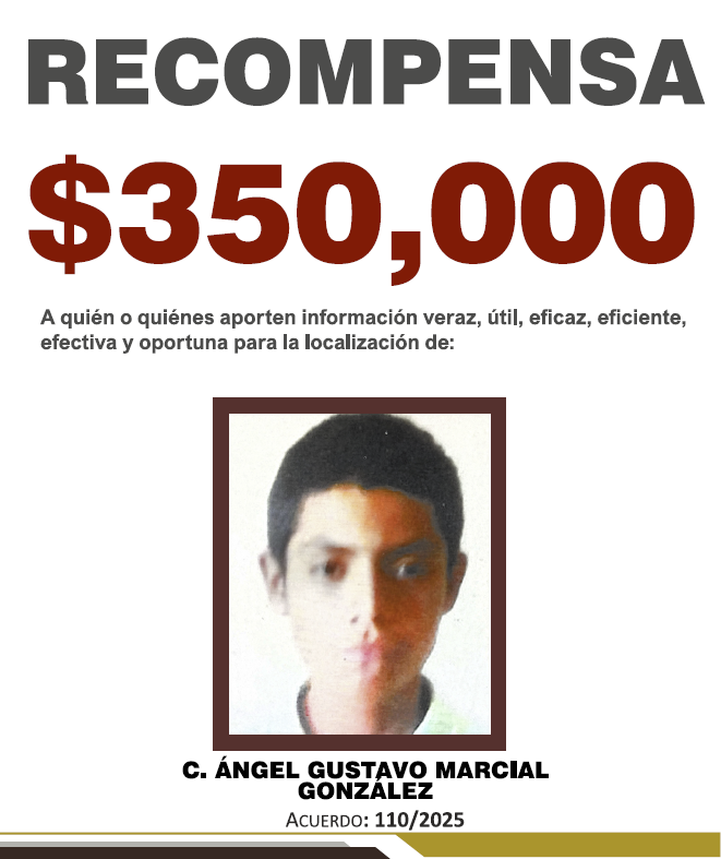 https://fiscaliaveracruz.gob.mx/wp-content/uploads/2025/11/ANGEL-GUSTAVO-MARCIAL-GONZALEZ-A-110.pdf