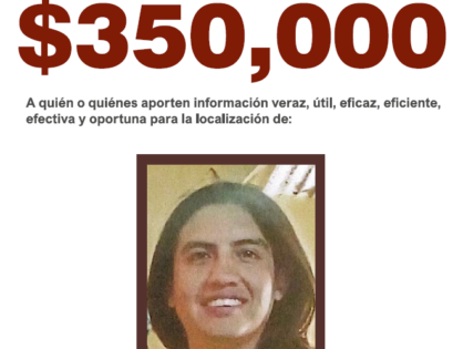 CESAR ALEJANDRO DOMÍNGUEZ OLEA