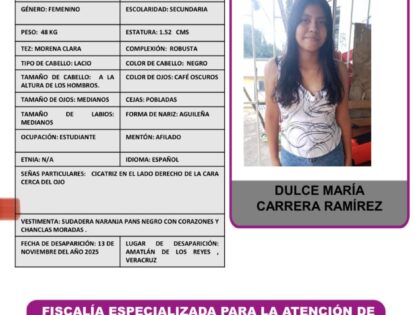 DULCE  MARÍA CARRERA RAMIREZ