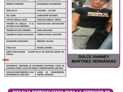 DULCE VIANNEY MARTÍNEZ  HERNÁNDEZ
