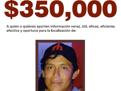 ENRIQUE MOLINA TEJEDA