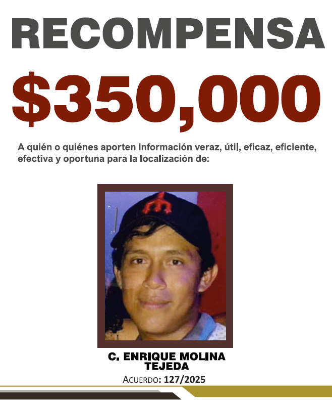 https://fiscaliaveracruz.gob.mx/wp-content/uploads/2025/11/ENRIQUE-MOLINA-TEJEDA-A-127.pdf