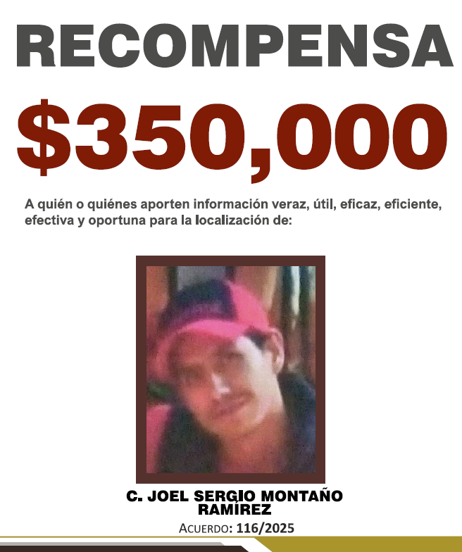 JOEL SERGIO MONTAÑO RAMÍREZ