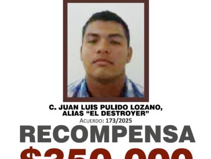 JUAN LUIS PULIDO LOZANO, ALIAS "EL DRESTROYER"