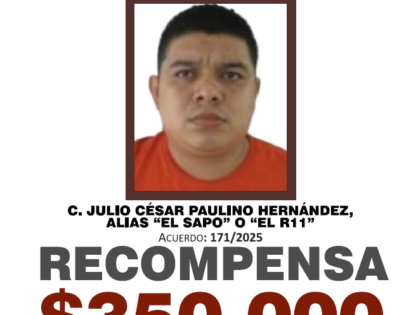 JULIO CÉSAR PAULINO HERNÁNDEZ, ALIAS "EL SAPO" O "EL R11"
