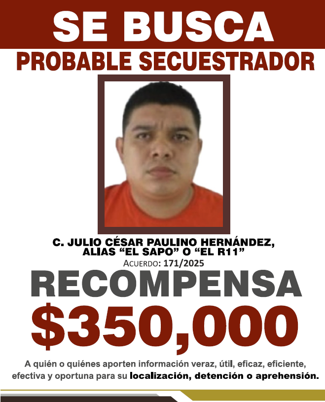 JULIO CÉSAR PAULINO HERNÁNDEZ, ALIAS "EL SAPO" O "EL R11"