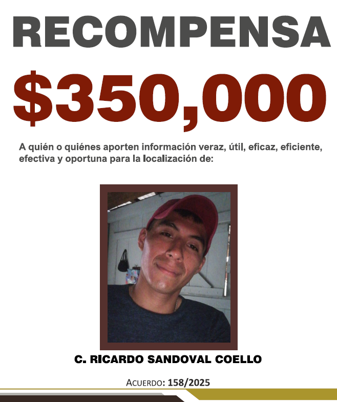 https://fiscaliaveracruz.gob.mx/wp-content/uploads/2025/11/RICARDO-SANDOVAL-COELLO-158.pdf