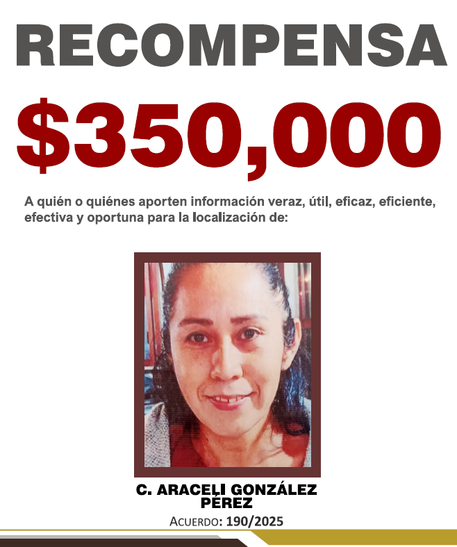 ARACELI GONZÁLEZ PÉREZ