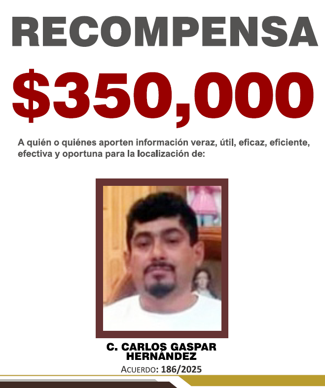 CARLOS GASPAR HERNÁNDEZ