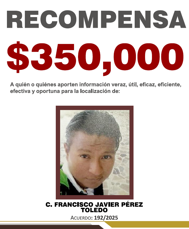 FRANCISCO JAVIER PÉREZ TOLEDO